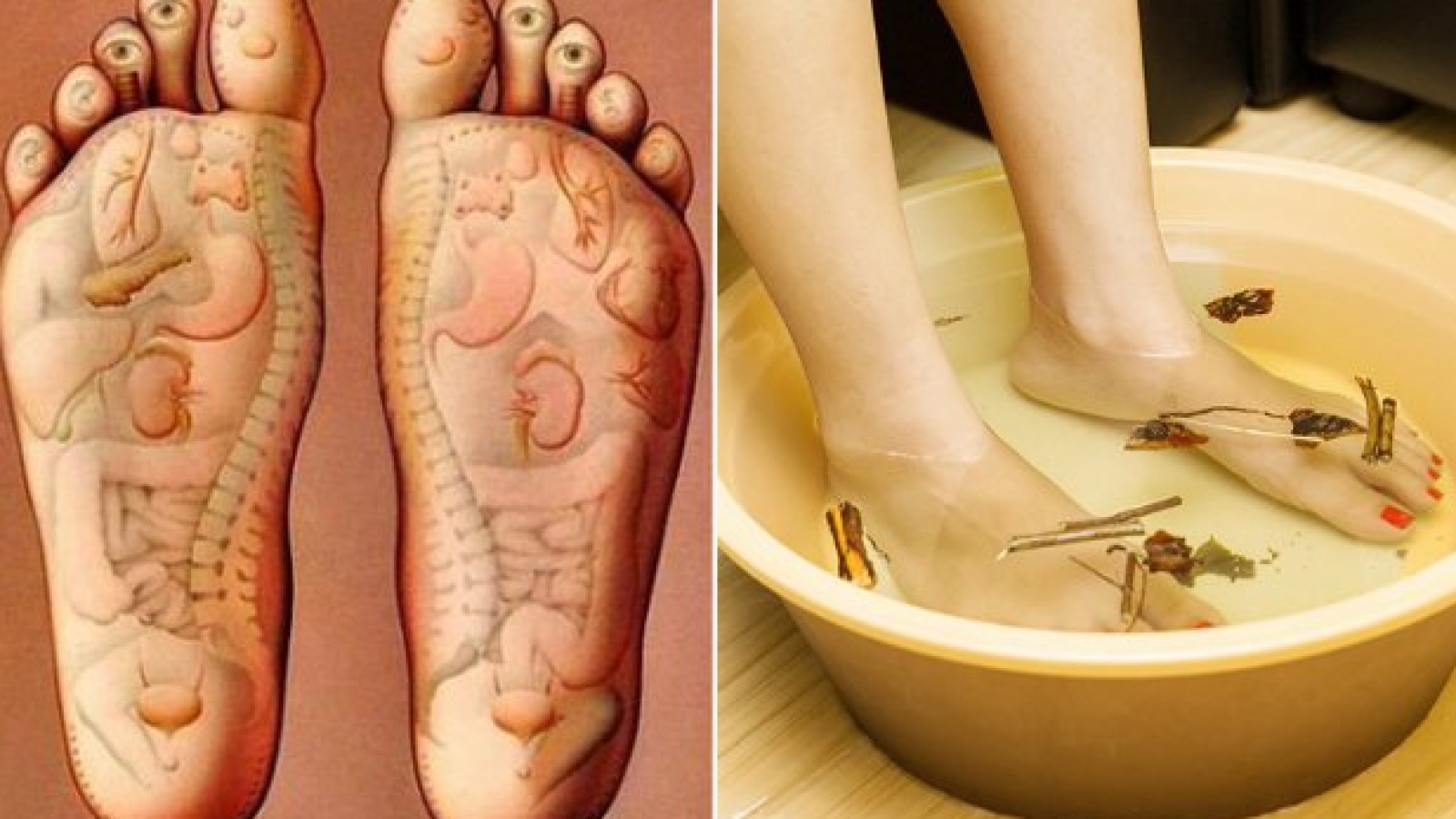 Massage và ngâm chân bằng thảo dược